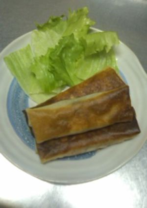 ｱｽﾊﾟﾗとｷﾉｺのﾋﾟｻﾞ風春巻き-レシピのメイン写真