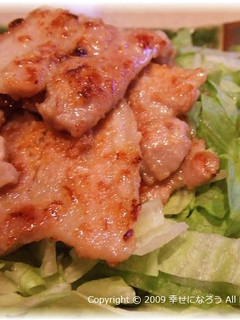 お肉柔らか!豚肉の味噌漬け-レシピのメイン写真
