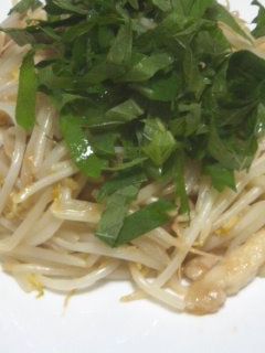 【肉もやし炒め】鶏もも肉の梅しそ風味-レシピのメイン写真