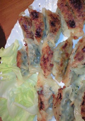 野菜いっぱい餃子-レシピのメイン写真