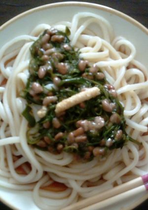 納豆めかぶのぶっかけうどん-レシピのメイン写真