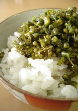 プチプチ美味い♪しその実の炒り煮-レシピのメイン写真