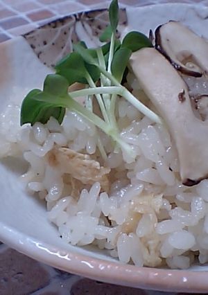 旬の味♪まつたけご飯-レシピのメイン写真