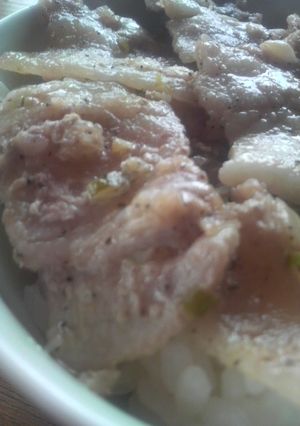 肉食系(‾∇+‾)ネギ塩カルビ豚丼-レシピのメイン写真