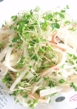 親子大根サラダ-レシピのメイン写真