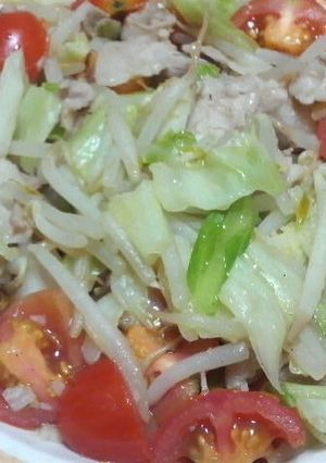 キャベツのニンニク野菜炒め♪-レシピのメイン写真