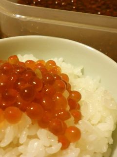 くま家のイクラ醤油漬け-レシピのメイン写真
