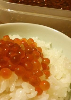 くま家のイクラ醤油漬け-レシピのメイン写真