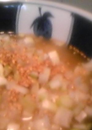 おでんの残り汁でお茶漬け☆簡単☆-レシピのメイン写真
