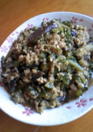 ナスとゴーヤーの鶏ひき味噌炒め-レシピのメイン写真