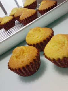 絶品!しっとりマドレーヌ-レシピのメイン写真