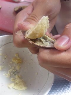 栗を茹でて食べる☆-レシピのメイン写真