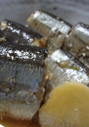 圧力鍋でさんまの生姜煮【完全版】-レシピのメイン写真