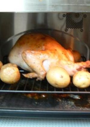 簡単☆鶏の丸焼き　にんにくたっぷり-レシピのメイン写真