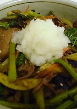焼き肉おろしそうめん-レシピのメイン写真