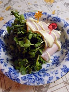 簡単すぎる前菜!ハムのかいわれ巻き-レシピのメイン写真