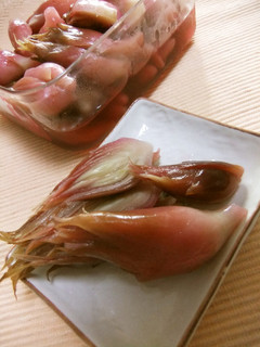 みょうがのビネガー漬け-レシピのメイン写真