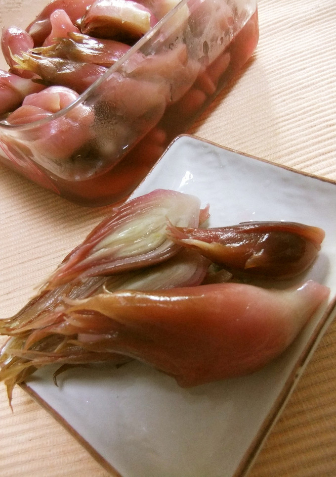 みょうがのビネガー漬け-レシピのメイン写真