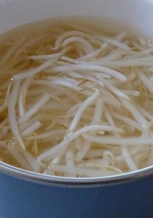 余ったもやしの保存法-レシピのメイン写真