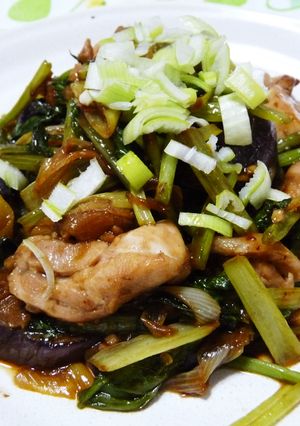 ピリ辛旨い☆鶏肉のオイスターソース炒め-レシピのメイン写真