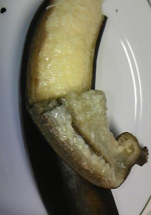 そんなﾊﾞﾅﾅ!? 焼きﾊﾞﾅﾅ♪-レシピのメイン写真