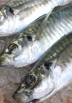 魚のパリパリ カルシウム-レシピのメイン写真
