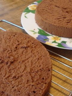 しっとりフワフワチョコスポンジ-レシピのメイン写真