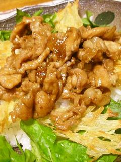 ✿ガーリック豚丼✿-レシピのメイン写真