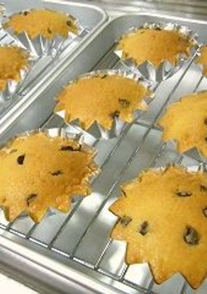 チョコチップパウンドケーキ-レシピのメイン写真