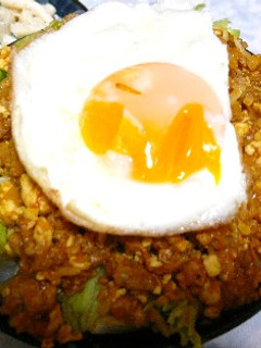 ロコモコ的丼-レシピのメイン写真
