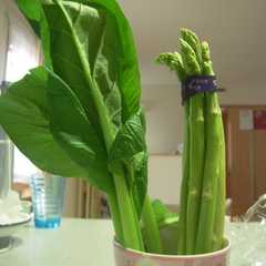 รูปของ 青菜の保存法