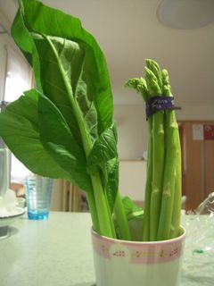 青菜の保存法-レシピのメイン写真