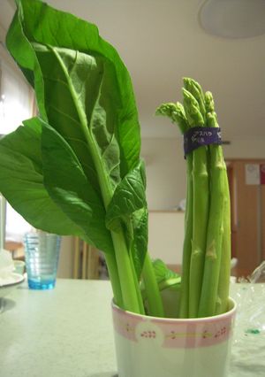 青菜の保存法-レシピのメイン写真