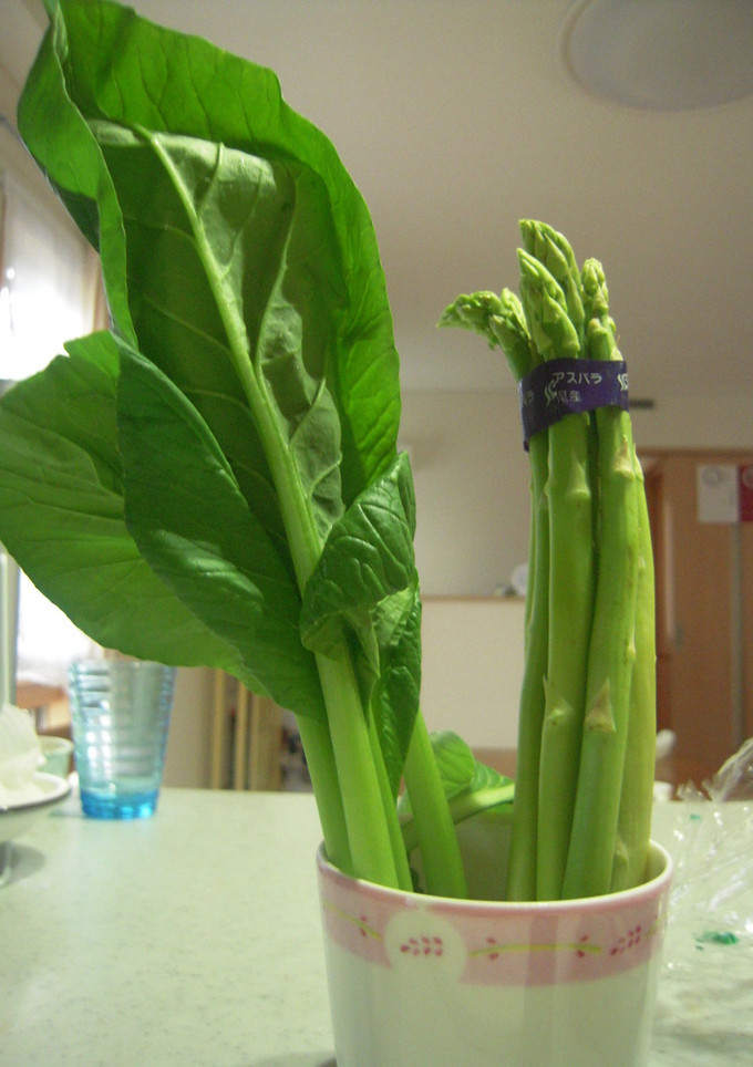 青菜の保存法-レシピのメイン写真