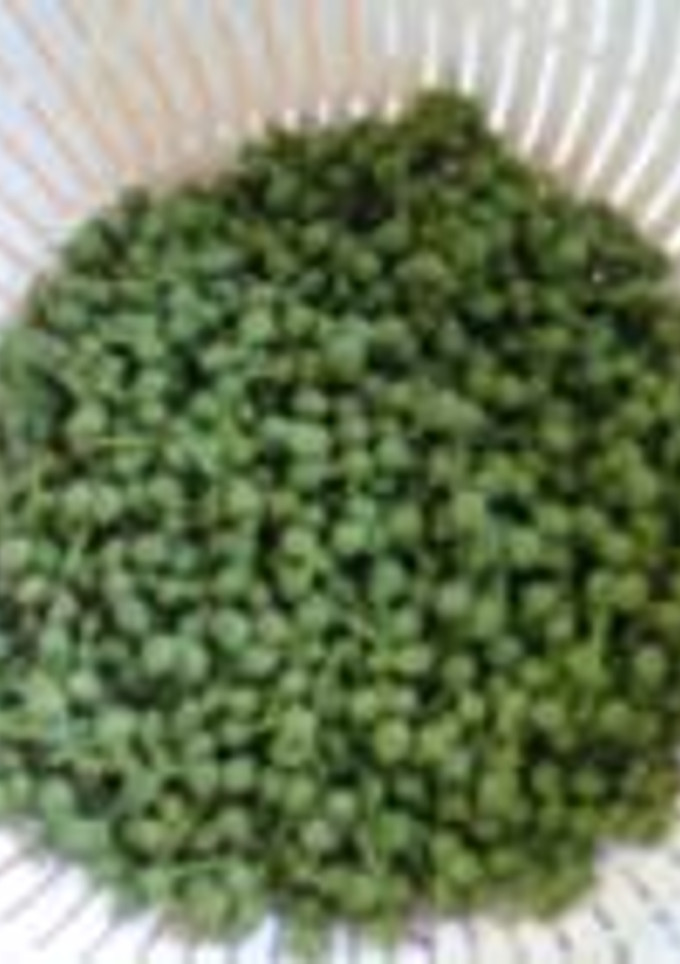 実山椒の青煮-レシピのメイン写真