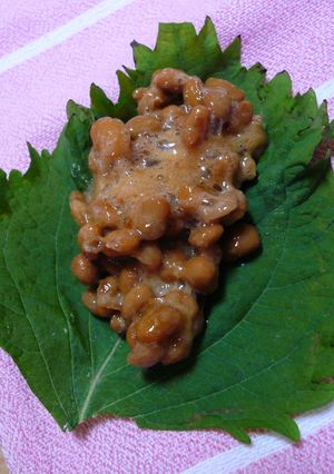 ☆納豆☆大葉巻き巻き☆-レシピのメイン写真