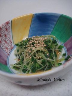 シャキシャキが最高♪貝割れの胡麻和え-レシピのメイン写真