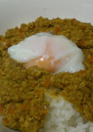 家族が騙された・・凍り豆腐のドライカレー-レシピのメイン写真