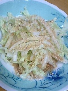 ホントにおいしい!!白菜の簡単サラダ-レシピのメイン写真