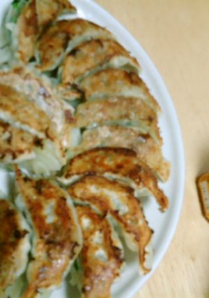 我が家の餃子★-レシピのメイン写真