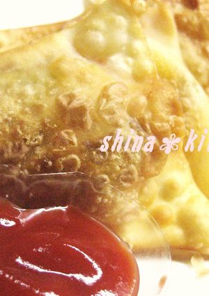 インド人もビックリ！うまうまサモサ♬-レシピのメイン写真