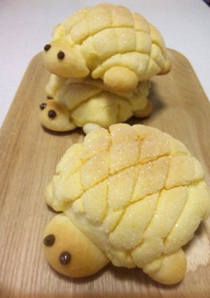 可愛い♪カメさんメロンパン-レシピのメイン写真