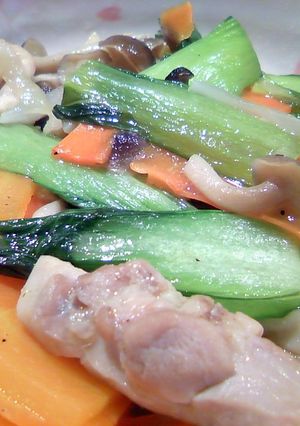 鶏肉と色んな野菜の塩にんにく炒め-レシピのメイン写真