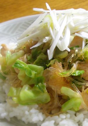 鶏肉と春雨の和風のっけ丼-レシピのメイン写真