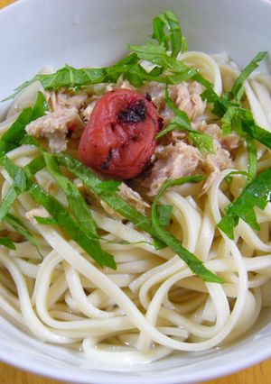 お酒の後に・・・。締めの☆冷塩うどん☆-レシピのメイン写真