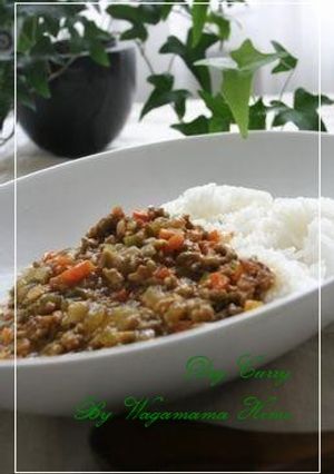 野菜嫌いさんもお任せ✿本格ドライカレー。-レシピのメイン写真