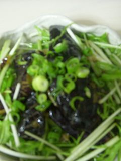 なすの揚げ煮 水菜も一緒に-レシピのメイン写真