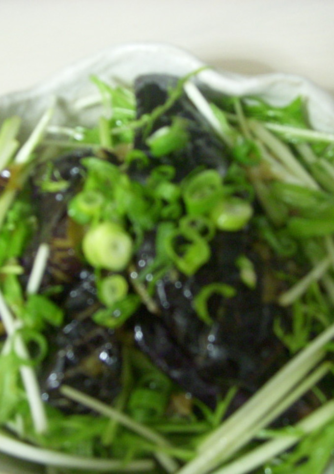 なすの揚げ煮　水菜も一緒に-レシピのメイン写真