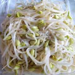 รูปของ 豆もやしのナムル