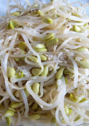 豆もやしのナムル-レシピのメイン写真